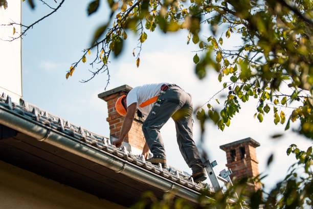 Best Local Roofing Companies  in Lakewood Clu, MI